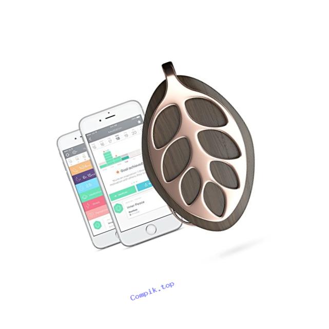 Bellabeat Leaf Nature Health Tracker/Smart Jewelry, Rose Gold Edition
